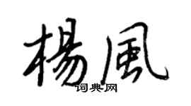 王正良杨风行书个性签名怎么写