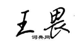 王正良王畏行书个性签名怎么写