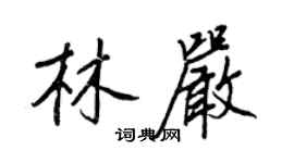 王正良林严行书个性签名怎么写
