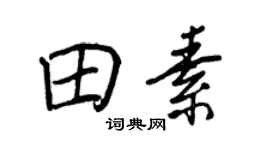 王正良田素行书个性签名怎么写
