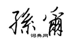 王正良孙尔行书个性签名怎么写