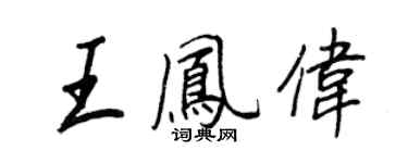 王正良王凤伟行书个性签名怎么写