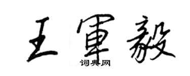 王正良王军毅行书个性签名怎么写
