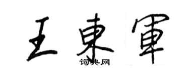 王正良王东军行书个性签名怎么写