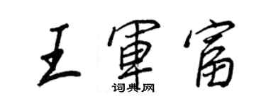 王正良王军富行书个性签名怎么写