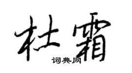 王正良杜霜行书个性签名怎么写