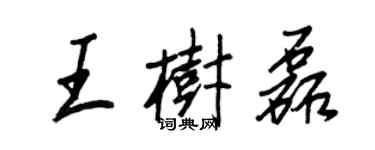 王正良王树磊行书个性签名怎么写