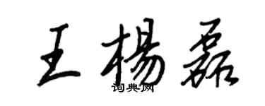 王正良王杨磊行书个性签名怎么写
