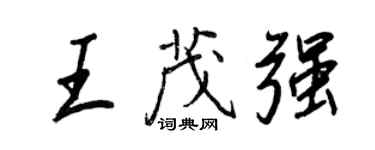 王正良王茂强行书个性签名怎么写
