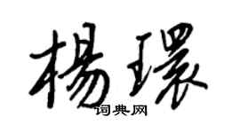 王正良杨环行书个性签名怎么写