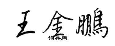 王正良王金鹏行书个性签名怎么写