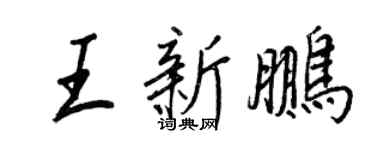 王正良王新鹏行书个性签名怎么写