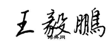 王正良王毅鹏行书个性签名怎么写