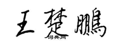 王正良王楚鹏行书个性签名怎么写