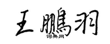 王正良王鹏羽行书个性签名怎么写