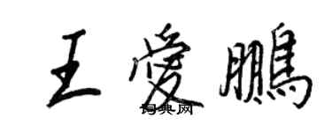 王正良王爱鹏行书个性签名怎么写