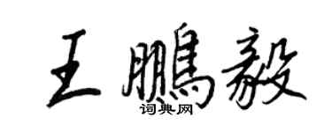 王正良王鹏毅行书个性签名怎么写