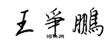 王正良王争鹏行书个性签名怎么写
