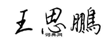王正良王思鹏行书个性签名怎么写
