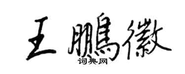 王正良王鹏徽行书个性签名怎么写