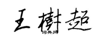 王正良王树超行书个性签名怎么写