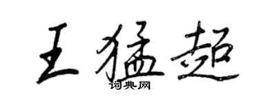 王正良王猛超行书个性签名怎么写