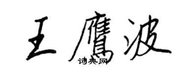 王正良王鹰波行书个性签名怎么写