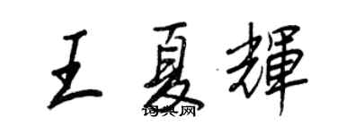 王正良王夏辉行书个性签名怎么写
