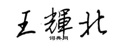 王正良王辉北行书个性签名怎么写
