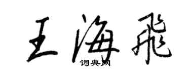 王正良王海飞行书个性签名怎么写