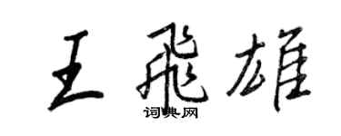 王正良王飞雄行书个性签名怎么写