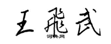 王正良王飞武行书个性签名怎么写