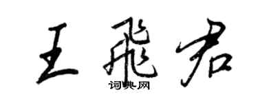 王正良王飞君行书个性签名怎么写