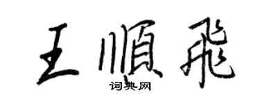 王正良王顺飞行书个性签名怎么写