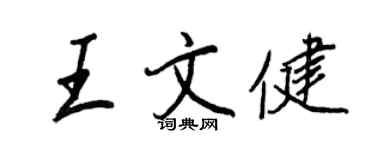 王正良王文健行书个性签名怎么写