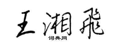 王正良王湘飞行书个性签名怎么写