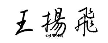 王正良王扬飞行书个性签名怎么写