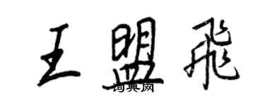 王正良王盟飞行书个性签名怎么写