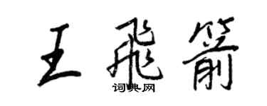 王正良王飞箭行书个性签名怎么写