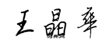 王正良王晶华行书个性签名怎么写