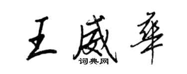 王正良王威华行书个性签名怎么写
