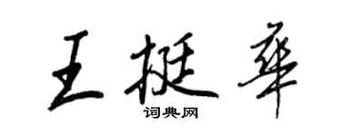 王正良王挺华行书个性签名怎么写