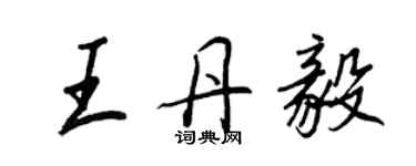 王正良王丹毅行书个性签名怎么写