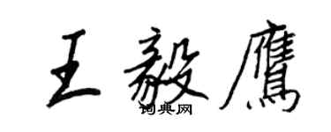 王正良王毅鹰行书个性签名怎么写