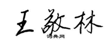 王正良王敬林行书个性签名怎么写