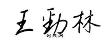 王正良王劲林行书个性签名怎么写