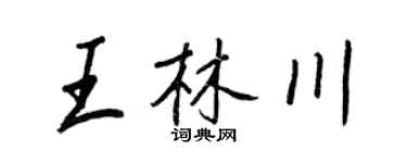 王正良王林川行书个性签名怎么写