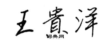 王正良王贵洋行书个性签名怎么写