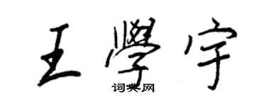 王正良王学宇行书个性签名怎么写