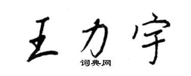王正良王力宇行书个性签名怎么写